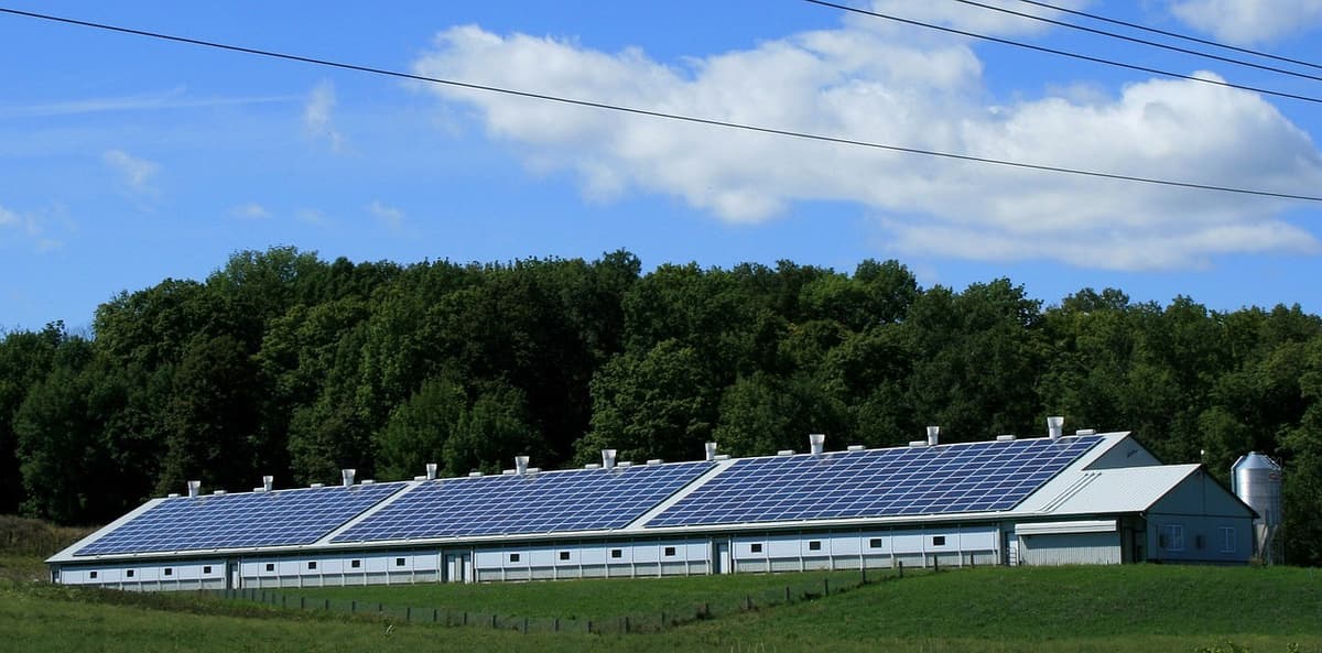 Centrale photovoltaïque agricole raccordée à un marché local d'énergie